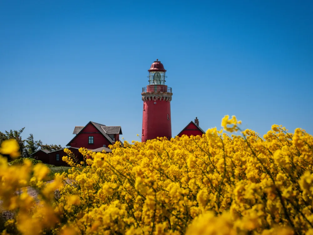 In Landwirtschaft investieren - Europa