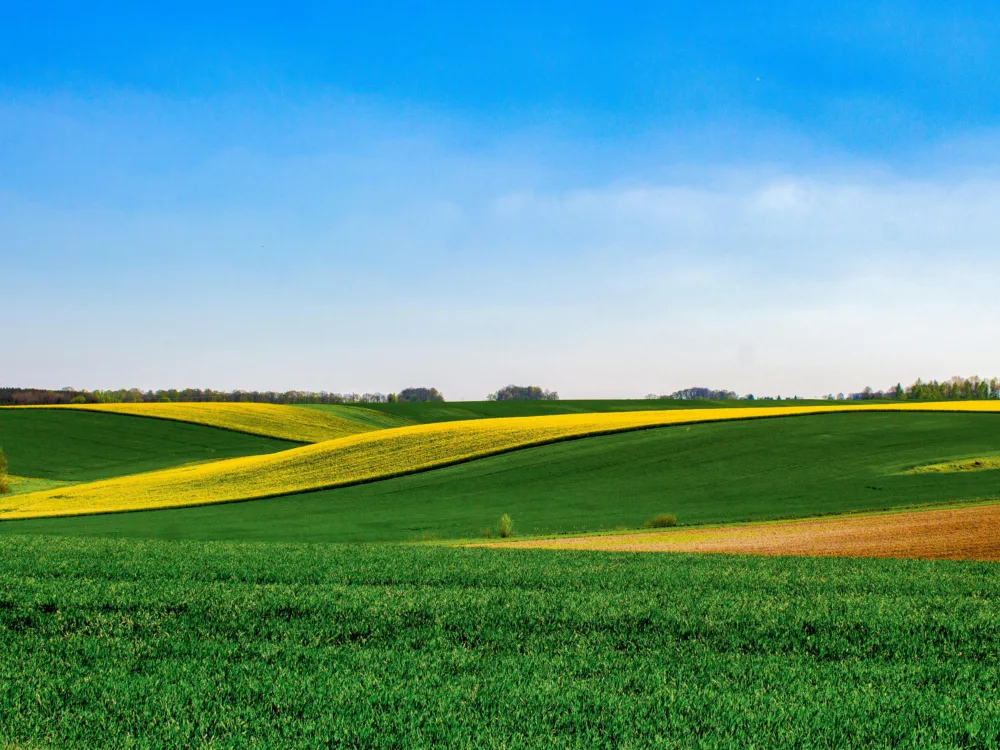 Guter Grund für Ihre Erträge