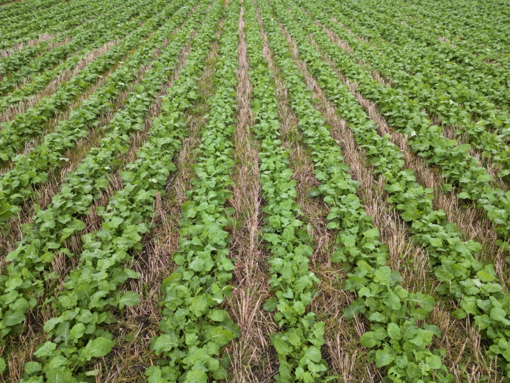 Lorem ipsum dolor sit amet, consetetur sadipscing elitr