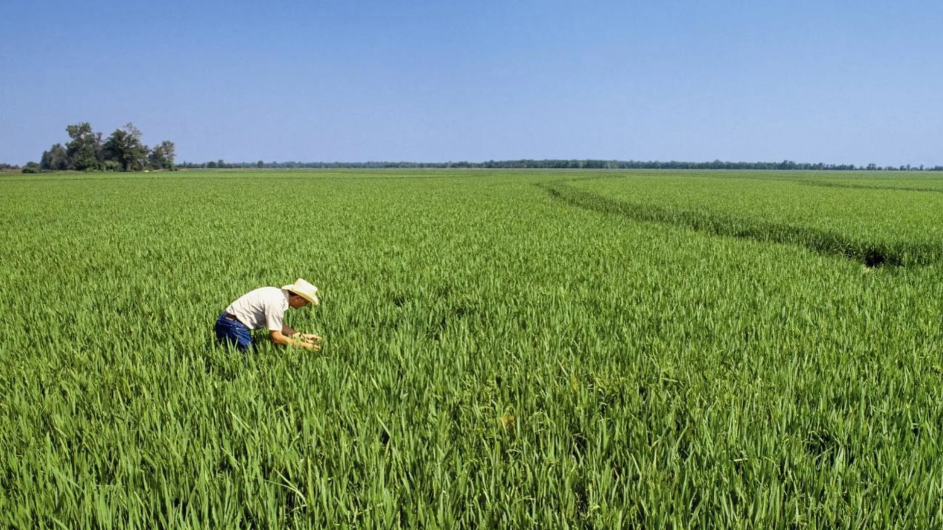 Die Website befindet sich noch im Aufbau