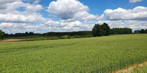 Weitere Bilder links