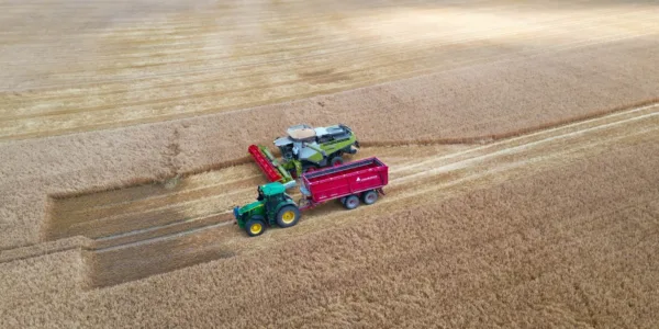 Weitere Bilder links