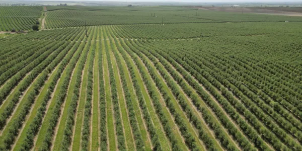 Weitere Bilder links