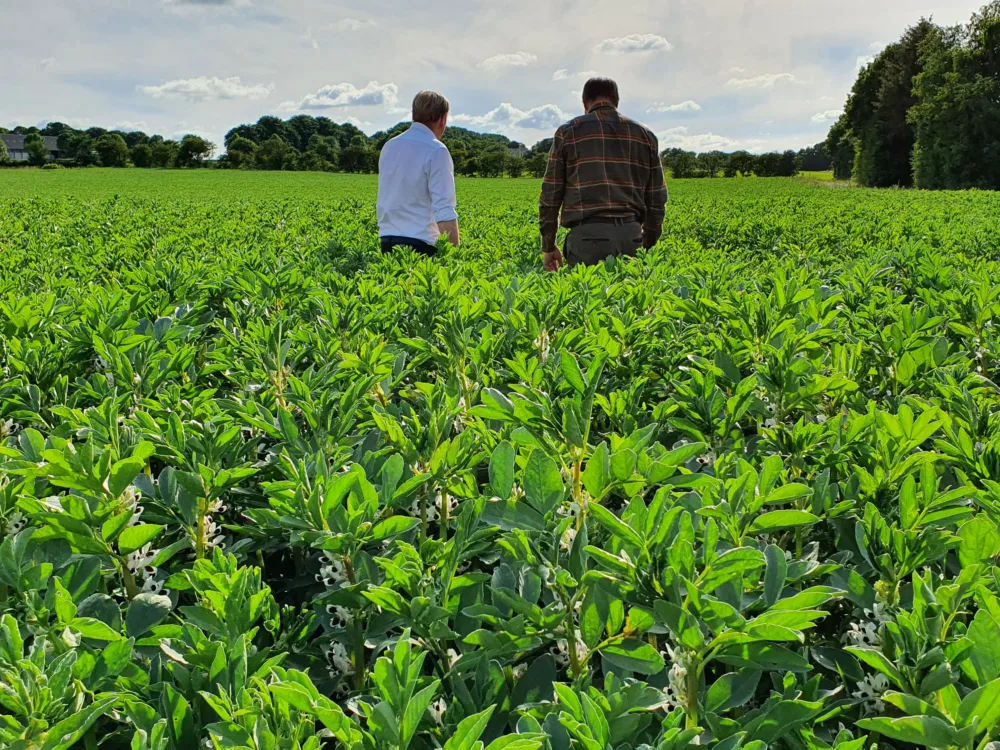 Landwirtschaft als reale Anlageklasse