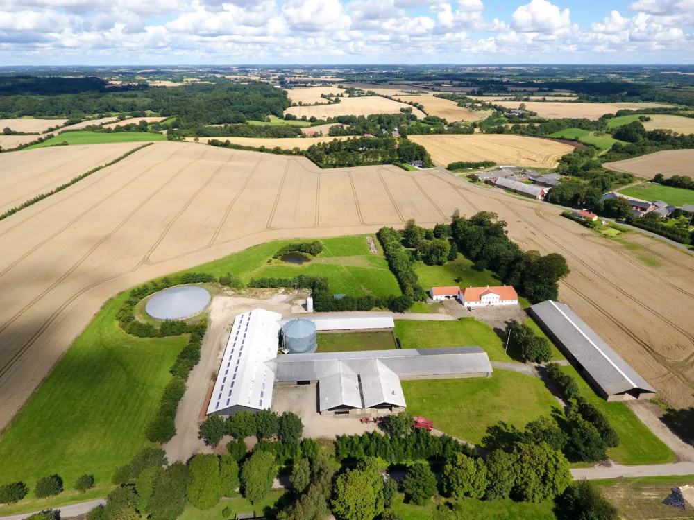 Marktzugang als entscheidender Vorteil