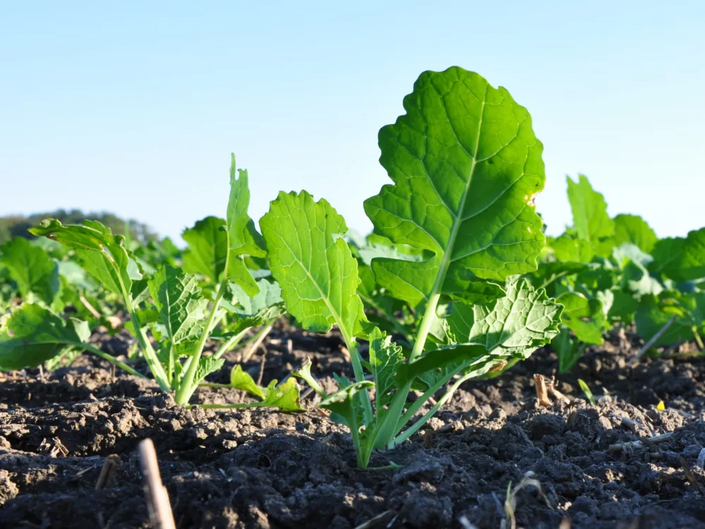 Langfristig denken – verantwortungsvoll investieren