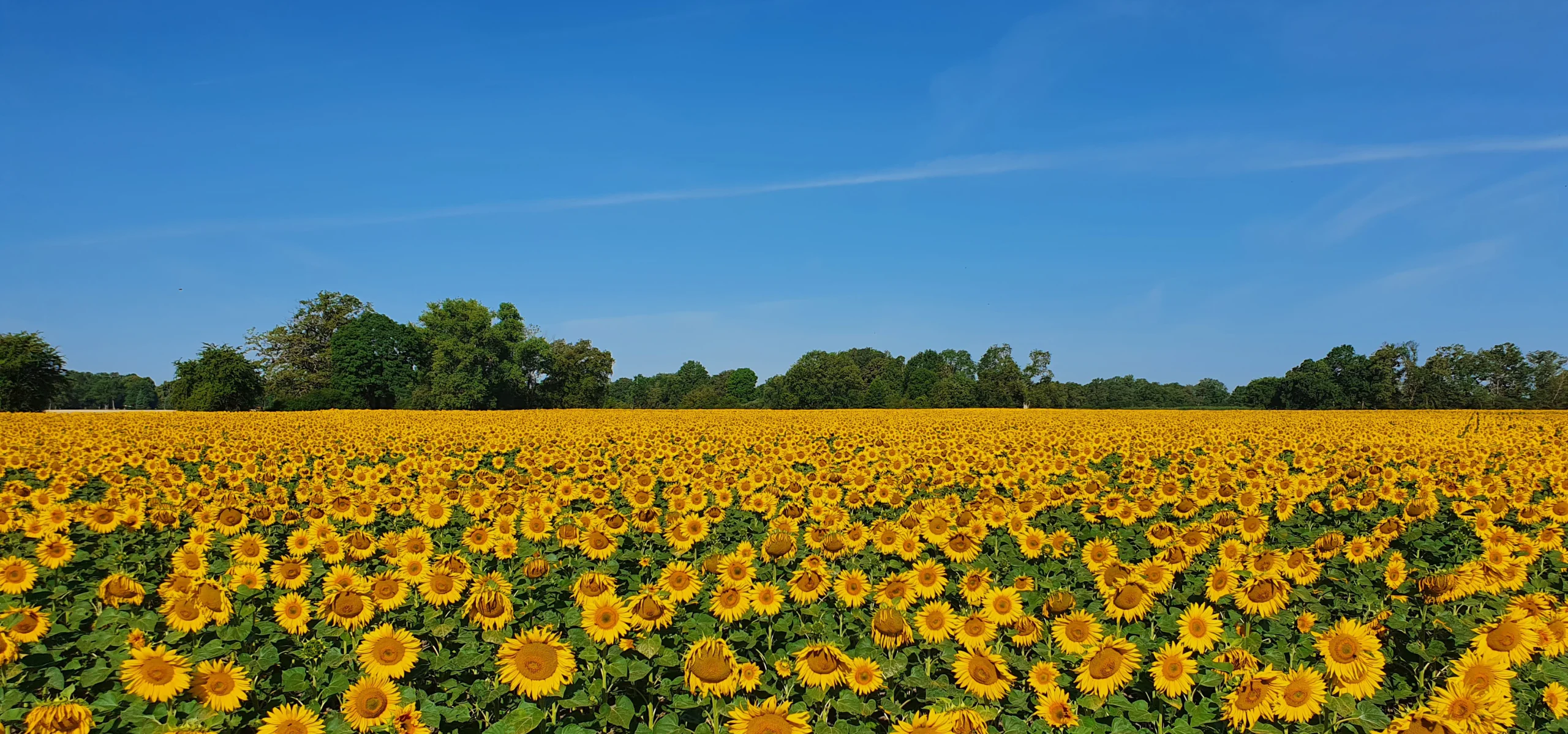 Ihr Investment. 
Unsere Verantwortung.